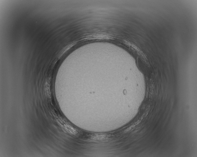 X0000081591162200702121506