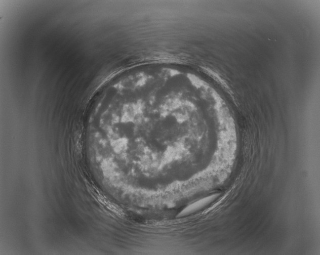 X0000081591163200702121506