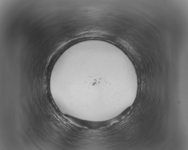 X0000081591164200702121506