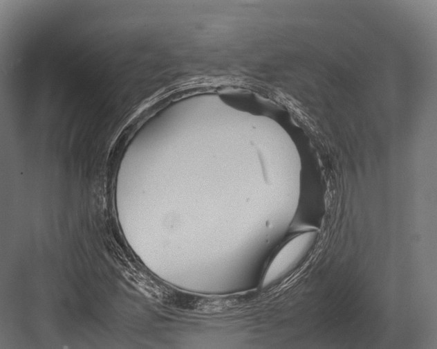 X0000081591165200702121506