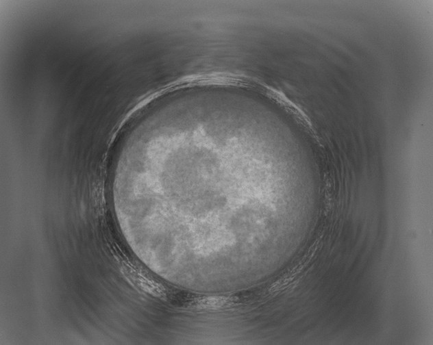 X0000081591166200702121506