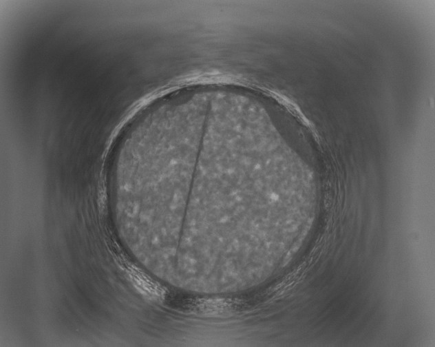 X0000081591167200702121506