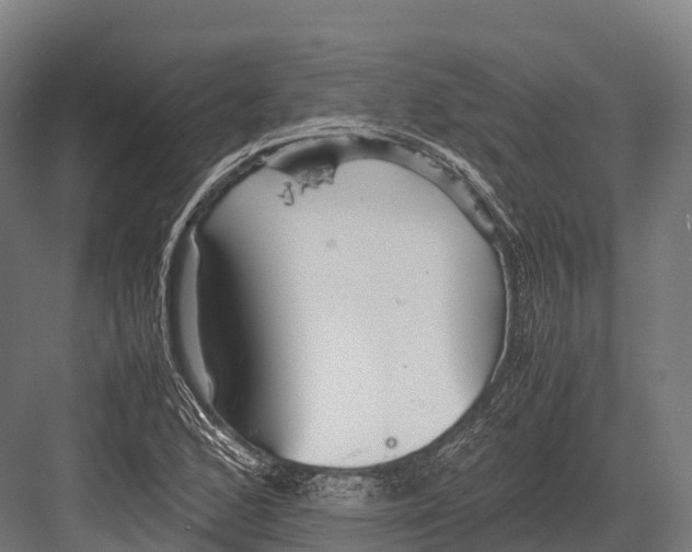 X0000081591168200702121506