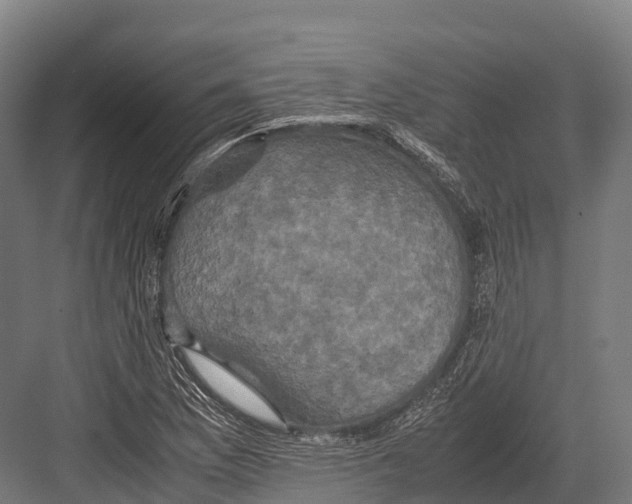 X0000081591169200702121506