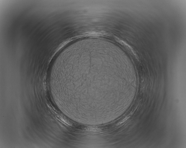 X0000081591170200702121506