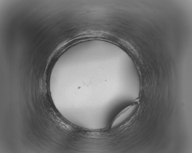 X0000081591172200702121506