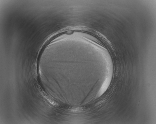 X0000081591174200702121506