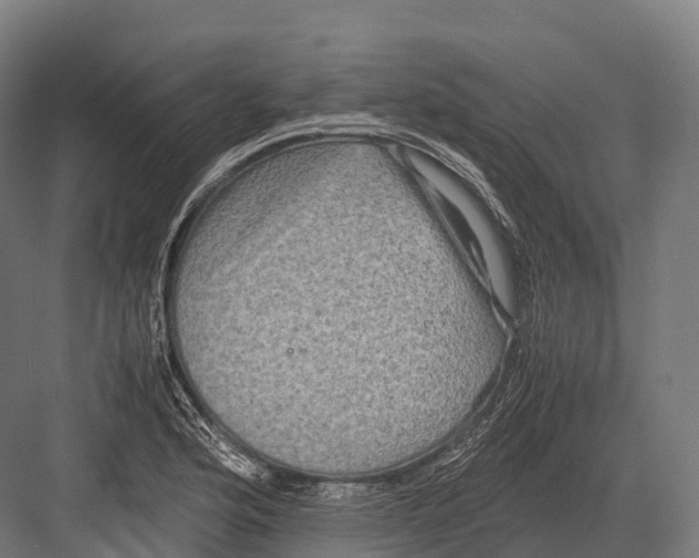 X0000081591176200702121506