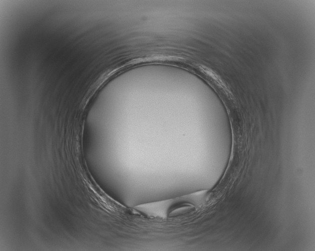 X0000081591177200702121506