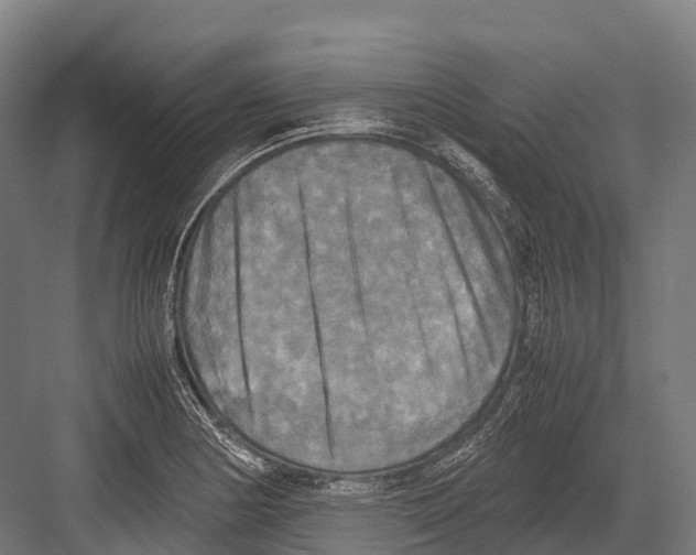 X0000081591178200702121506