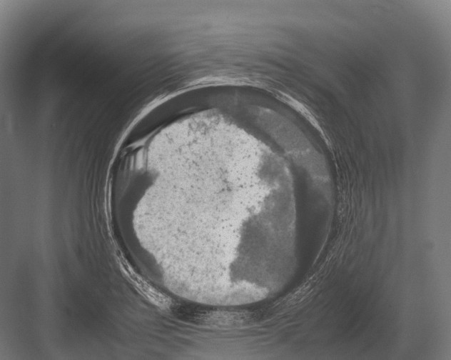 X0000081591179200702121506