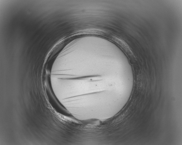 X0000081591180200702121506