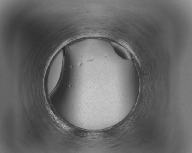 X0000081591181200702121506