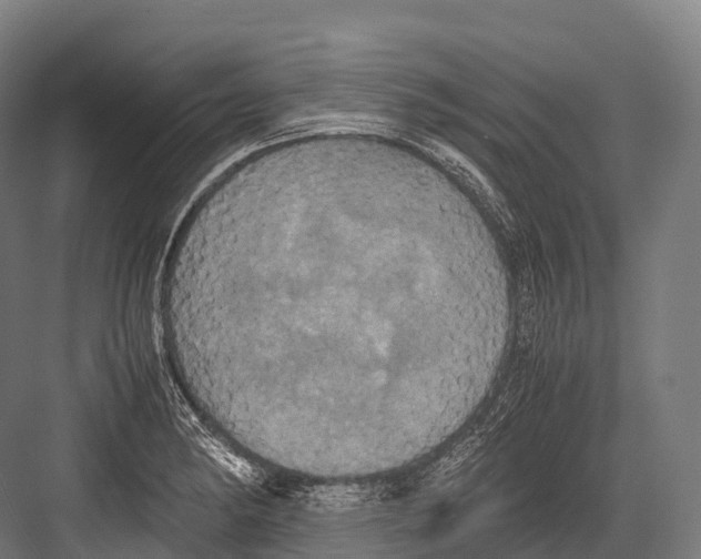 X0000081591182200702121506