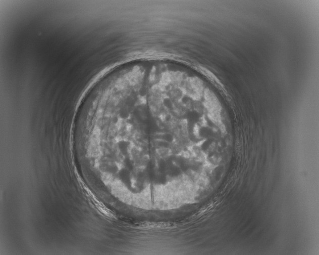 X0000081591183200702121506