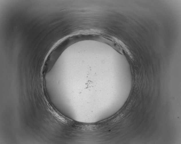 X0000081591184200702121506