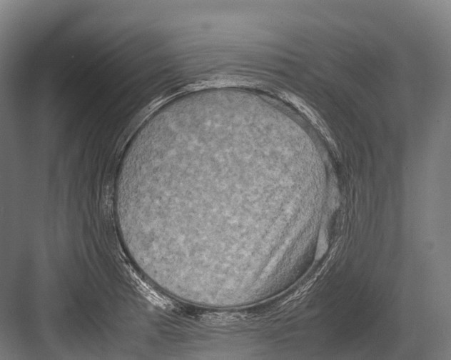 X0000081591185200702121506