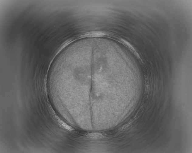 X0000081591186200702121506