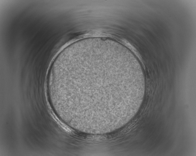 X0000081591187200702121506