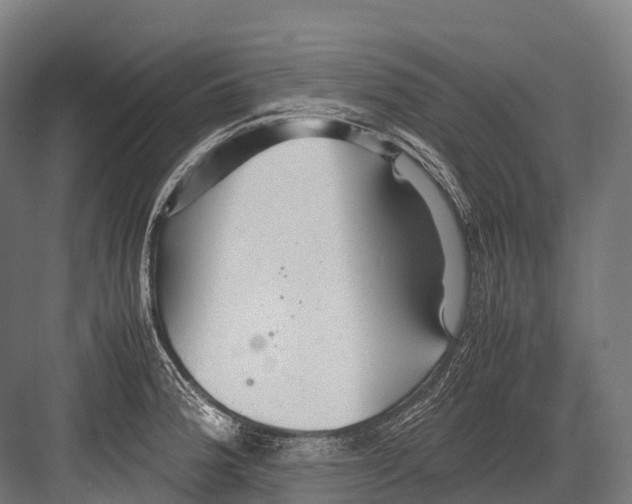 X0000081591188200702121506