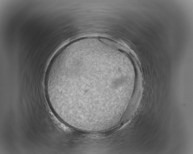 X0000081591189200702121506