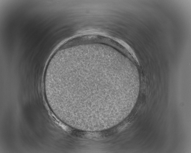 X0000081591191200702121506