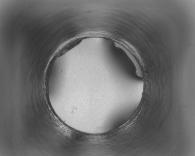 X0000081591192200702121506