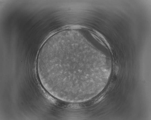 X0000081591194200702121506