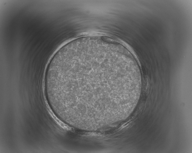 X0000081591195200702121506