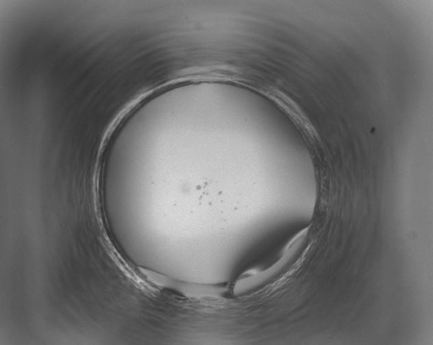 X0000081591196200702121506