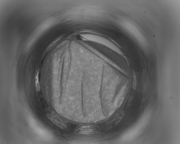 X0000081591198200702121506