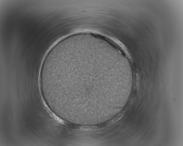 X0000081591199200702121506