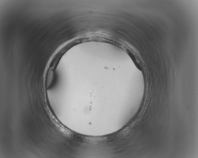 X0000081591200200702121505