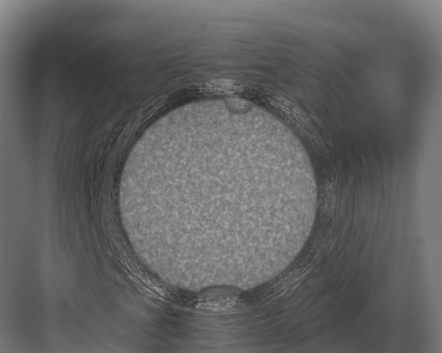 X0000081591201200702121505