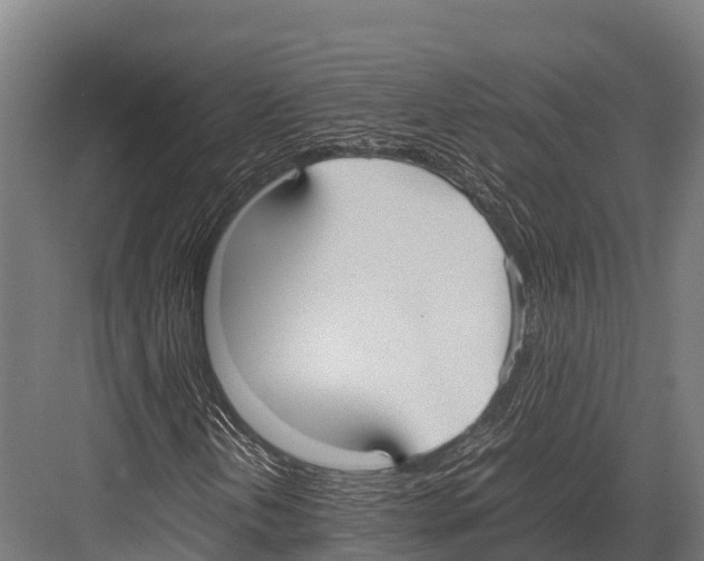 X0000081591202200702121505