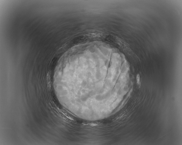 X0000081591203200702121505