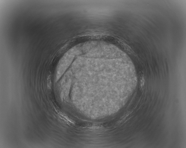 X0000081591204200702121505