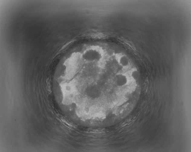 X0000081591205200702121505