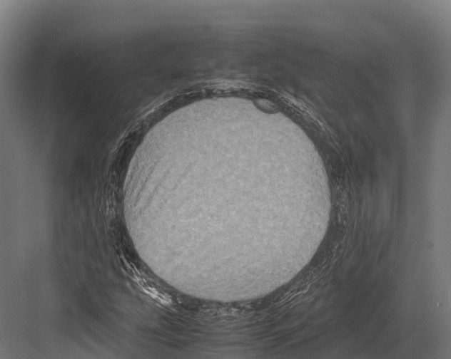 X0000081591207200702121505