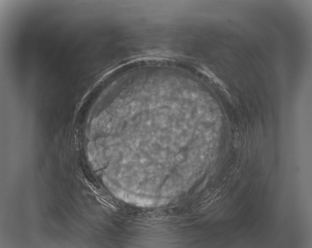 X0000081591208200702121505