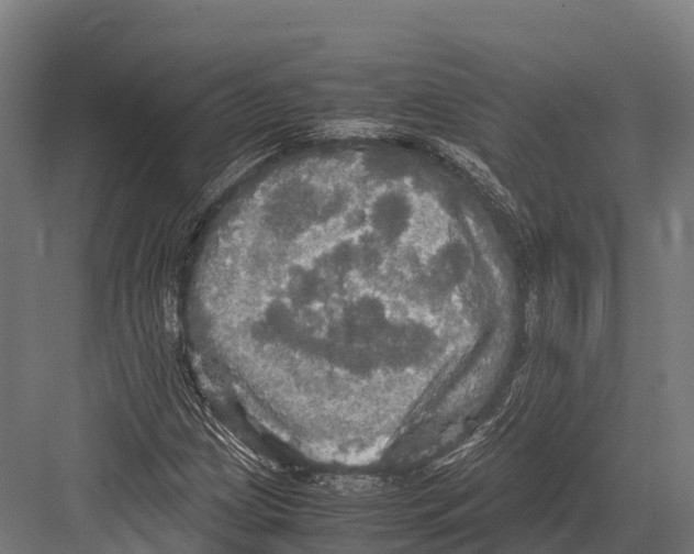 X0000081591209200702121505