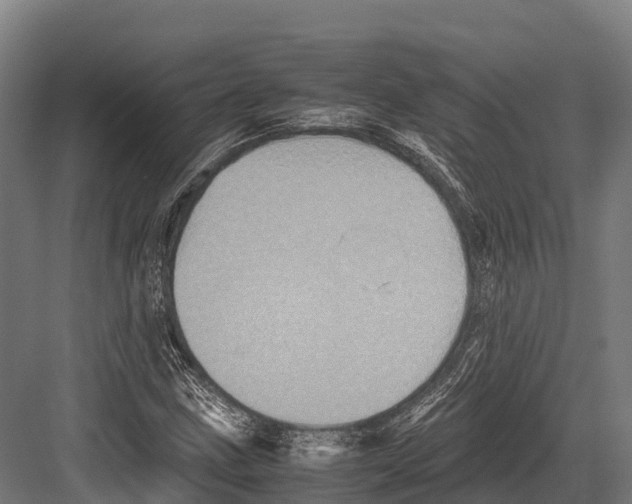 X0000081591211200702121505