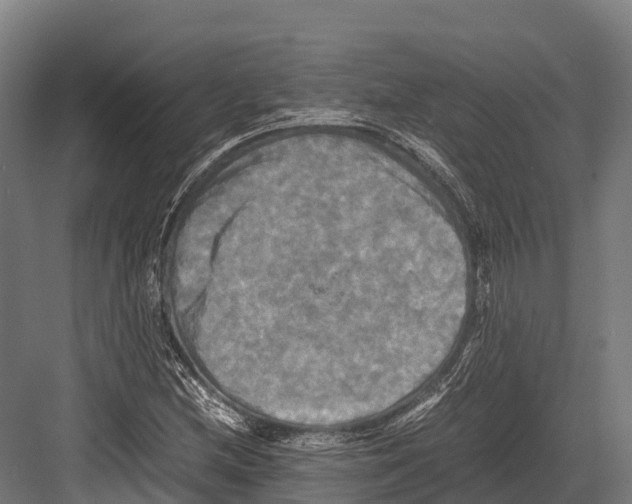 X0000081591212200702121505