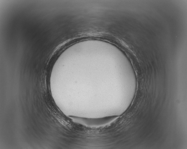 X0000081591214200702121505