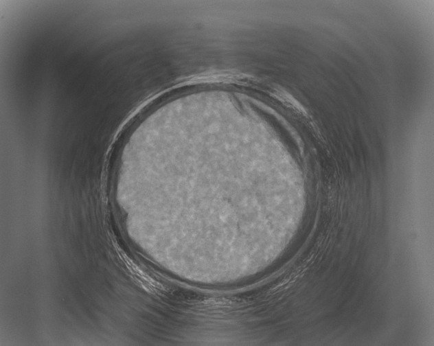 X0000081591216200702121505