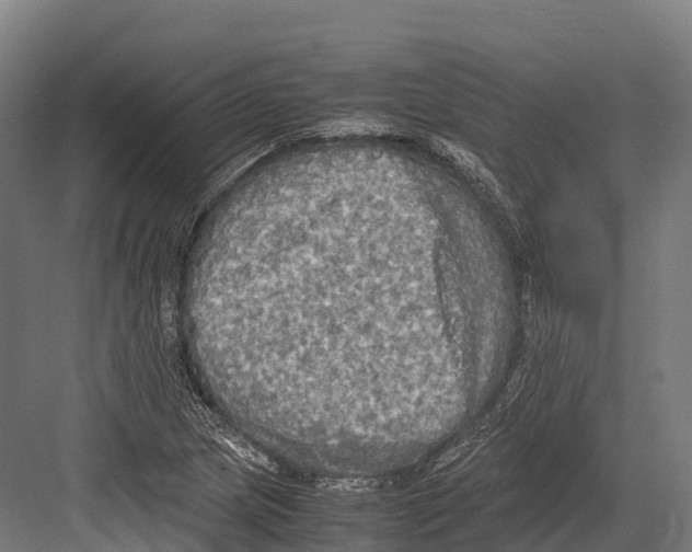 X0000081591217200702121505