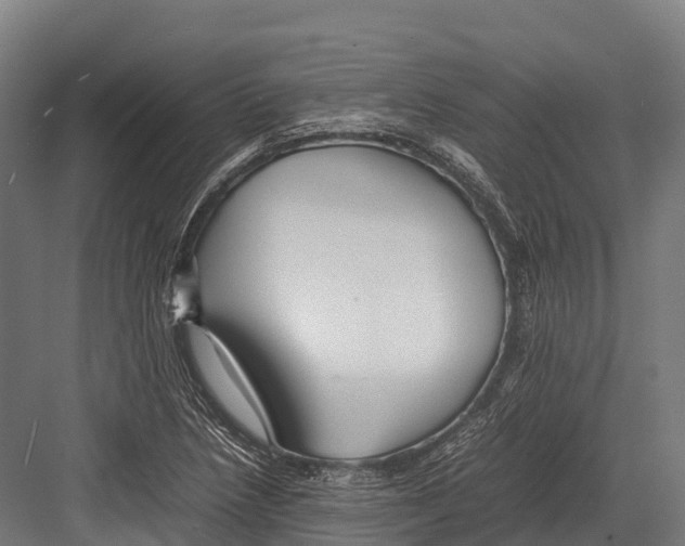 X0000081591218200702121505