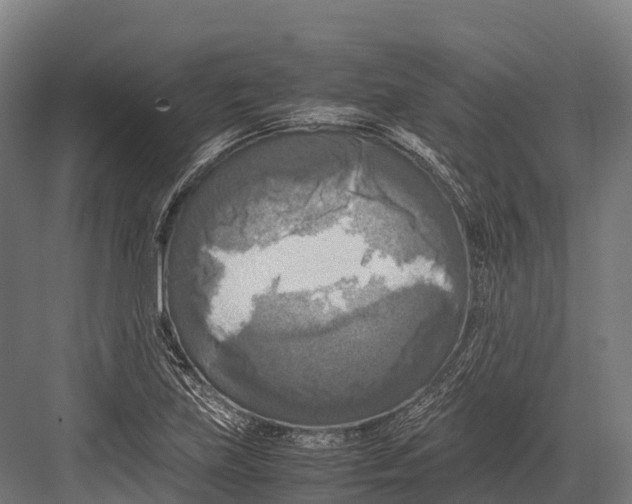 X0000081591219200702121505