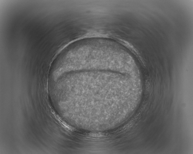 X0000081591220200702121505