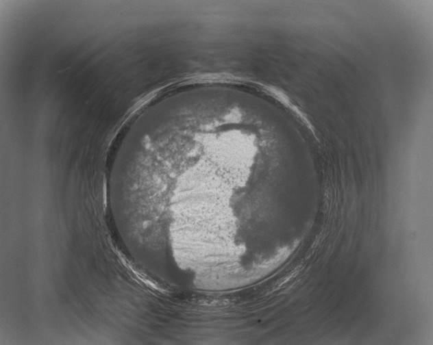 X0000081591221200702121505